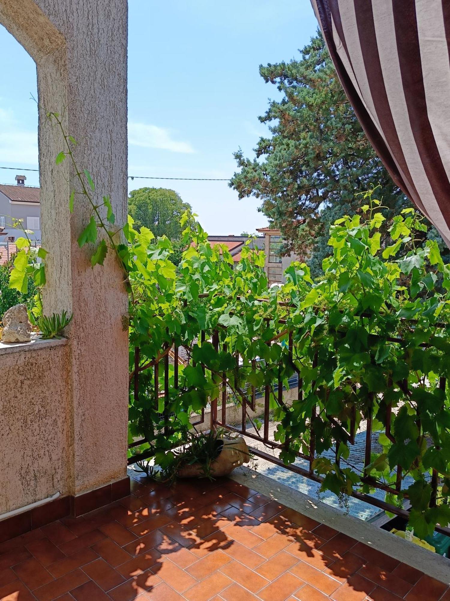 Apartments Villa Laura Pula Luaran gambar